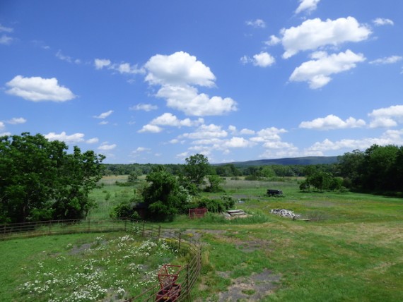 Court Ordered Auction! Black Horse Ranch 