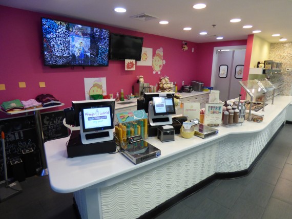 Complete FroYo World Frozen Yogurt Store